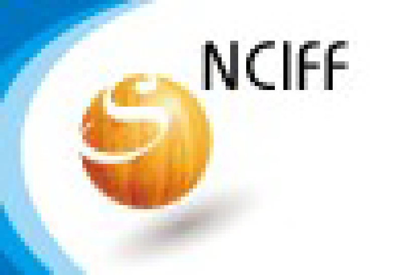 第八屆中國(guó)國(guó)際家具及木工機(jī)械(北方)展覽會(huì)